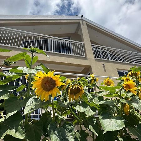 Casa Malee Hotel กัลเลตา ภายนอก รูปภาพ